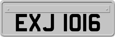 EXJ1016