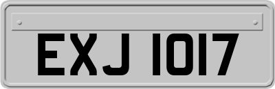 EXJ1017