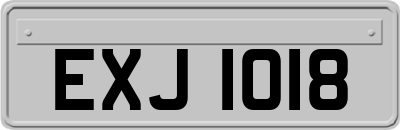 EXJ1018