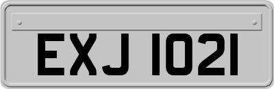 EXJ1021