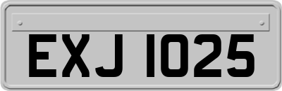 EXJ1025
