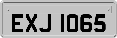 EXJ1065