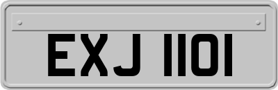 EXJ1101