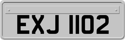 EXJ1102