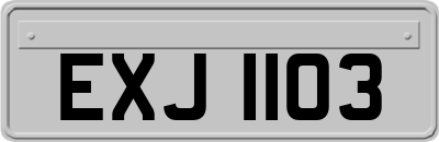 EXJ1103