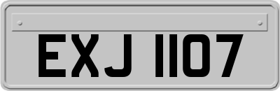 EXJ1107