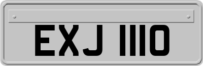 EXJ1110