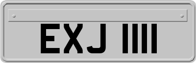 EXJ1111