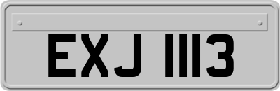 EXJ1113