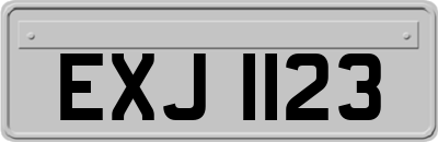 EXJ1123