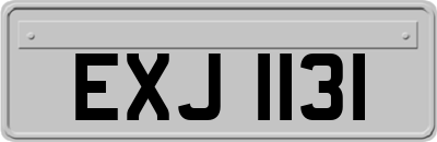 EXJ1131