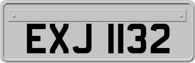EXJ1132