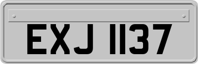 EXJ1137
