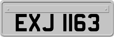 EXJ1163
