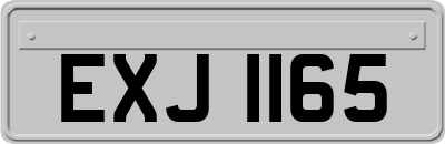 EXJ1165
