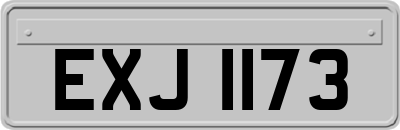 EXJ1173
