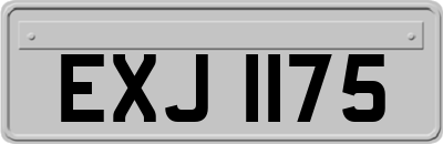 EXJ1175