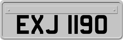 EXJ1190