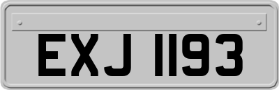 EXJ1193
