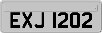 EXJ1202