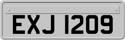 EXJ1209