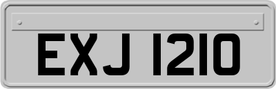 EXJ1210