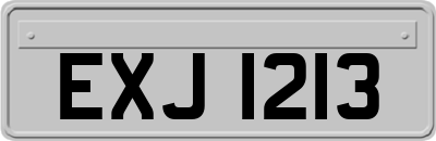 EXJ1213
