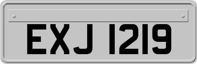 EXJ1219