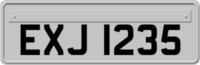 EXJ1235