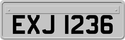 EXJ1236