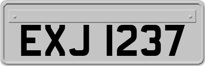 EXJ1237