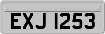 EXJ1253
