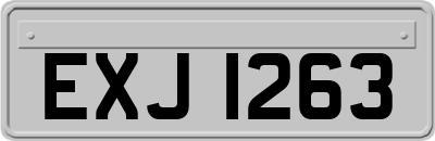EXJ1263