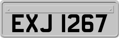 EXJ1267