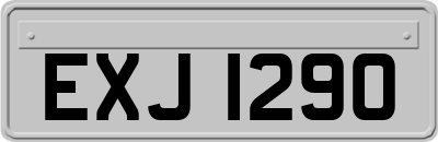 EXJ1290