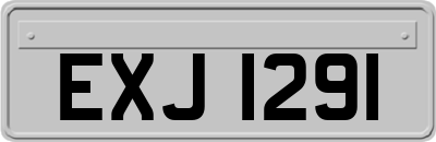 EXJ1291