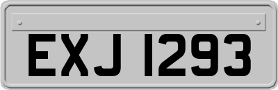 EXJ1293