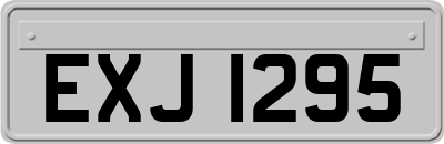 EXJ1295