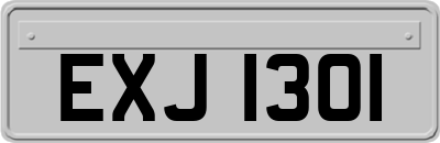 EXJ1301