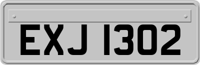 EXJ1302