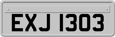 EXJ1303