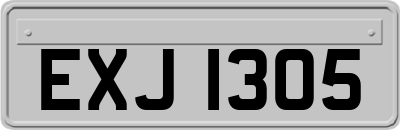 EXJ1305