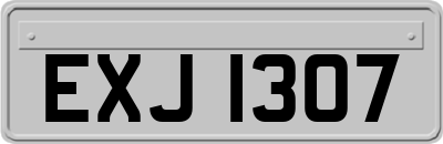 EXJ1307
