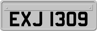 EXJ1309