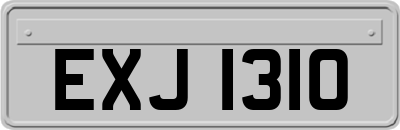 EXJ1310