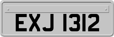 EXJ1312