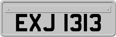 EXJ1313