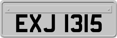 EXJ1315