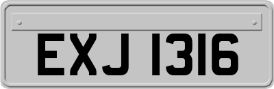 EXJ1316