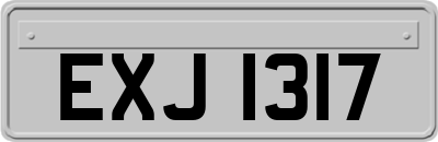 EXJ1317